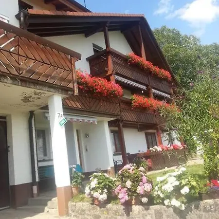 Ferienwohnung Blumenhof - ERHOLUNG PUR, traumhafte Aussicht Zell im Wiesenthal Exterior foto